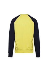 Diadora - Bluza męska DIADORA SWEATSHIRT CREW SPECTRA. Kolor: żółty