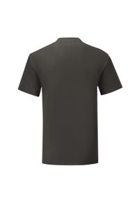 FRUIT OF THE LOOM - Kultowa Koszulka Unisex Dla Dorosłych. Kolor: szary