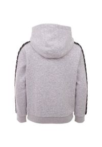 Bluza dla dzieci Kappa Igon szara. Kolor: szary
