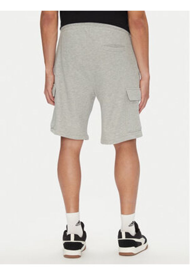 DC Szorty sportowe Millenia ADYFB03075 Szary Baggy Fit. Kolor: szary. Materiał: syntetyk. Styl: sportowy