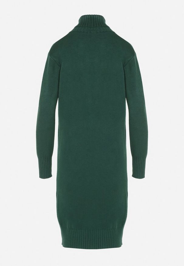 Born2be - Zielona Dzianinowa Sukienka z Bawełną o Prostym Kroju z Golfem Tesala. Okazja: na spotkanie biznesowe, do pracy. Typ kołnierza: golf. Kolor: zielony. Materiał: dzianina, bawełna. Wzór: jednolity. Typ sukienki: proste. Styl: klasyczny, biznesowy