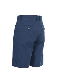 TRESPASS - Casualowe Shorty Męskie Atom. Kolor: niebieski