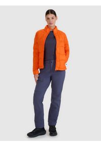 4f - 4F Spodnie trekkingowe szybkoschnące damskie - szare S. Kolor: szary. Materiał: włókno, materiał, tkanina. Sport: turystyka piesza, wspinaczka #1