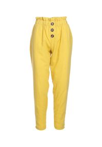 Born2be - Żółte Spodnie Exanimate. Stan: podwyższony. Kolor: żółty. Materiał: bawełna. Wzór: kwiaty, gładki, nadruk, aplikacja, jednolity. Styl: klasyczny