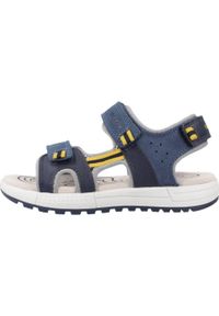Geox - Sandały GEOX J SANDAL ALBEN BOY Niebieski. Kolor: niebieski. Materiał: tkanina, skóra. Sezon: lato