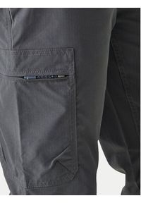 Regatta Spodnie outdoor Dalry RMJ306 Szary Regular Fit. Kolor: szary. Materiał: syntetyk. Sport: outdoor #5