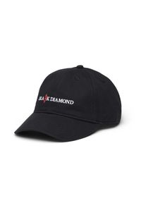 Czapka Trucker Black Diamond Heritage. Kolor: czarny