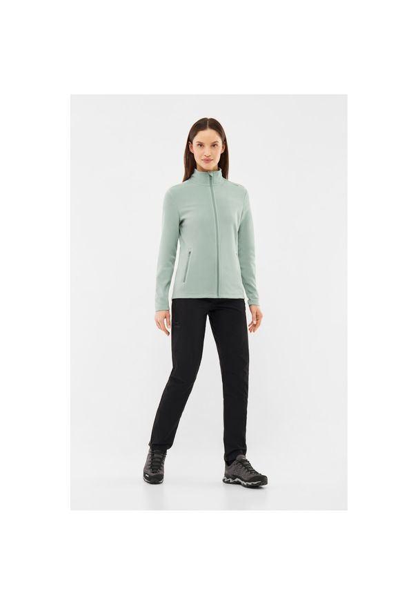 Viking - Bluza damska VIKING Tesero Lady Polartec. Kolor: zielony. Styl: sportowy. Sport: turystyka piesza