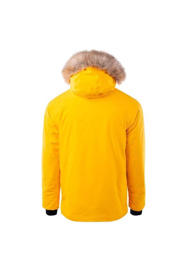Iguana - Kurtka Męska Zimowa Gerin. Kolor: żółty. Sezon: zima. Sport: turystyka piesza