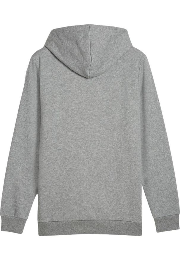 Bluza sportowa męska Puma Ess Logo LAB Gradient Hoodie FL. Kolor: szary. Wzór: gradientowy