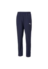 Spodnie męskie Puma teamRISE Sideline Pants. Kolor: niebieski, biały, wielokolorowy. Sport: piłka nożna