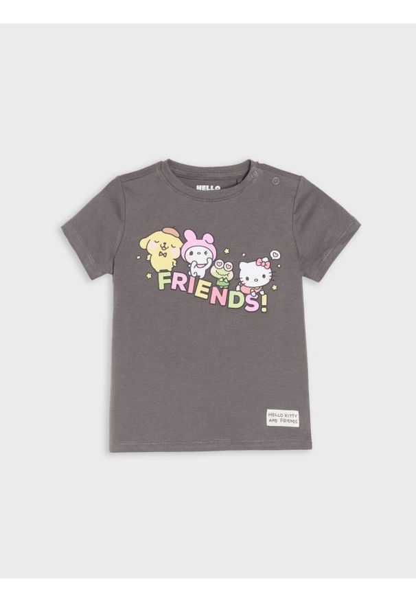 Sinsay - Bawełniana koszulka z nadrukiem Hello Kitty - szary. Kolor: szary. Materiał: bawełna. Wzór: motyw z bajki, nadruk