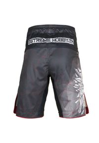 EXTREME HOBBY - Spodenki do Grapplingu MMA BJJ K1 męskie Extreme Hobby POLSKA grey. Kolor: szary. Materiał: poliester