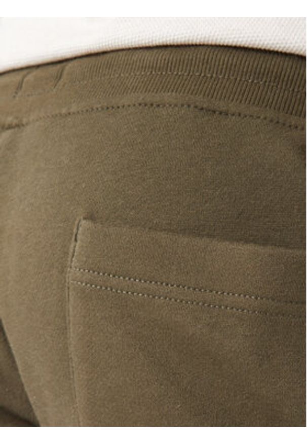 Tommy Jeans Spodnie dresowe DM0DM20473 Khaki Regular Fit. Kolor: brązowy. Materiał: bawełna