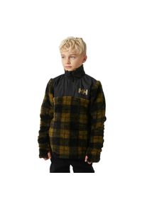 Dziecięca bluza dresowa 1/4 z zamkiem błyskawicznym Helly Hansen Champ. Kolor: brązowy. Materiał: dresówka