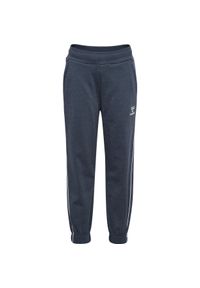 Dresy dziewczęce Hummel Gizela. Kolor: niebieski. Materiał: dresówka