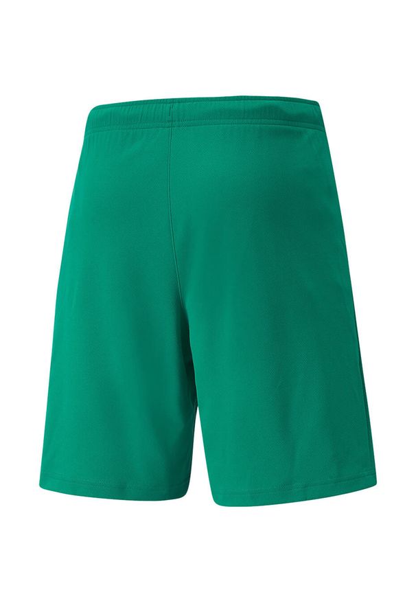 Spodenki Puma teamRISE zielone. Kolor: biały, wielokolorowy, zielony. Długość: krótkie. Sport: fitness
