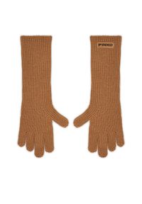 Pinko - PINKO Rękawiczki Damskie PINKO-Grecia 105997 A2Z4 Brązowy. Kolor: brązowy. Materiał: materiał, wiskoza