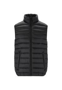 Kurtka puchowa bez rękawów Whistler Arubi. Kolor: czarny. Materiał: puch. Długość rękawa: bez rękawów. Sezon: jesień. Styl: elegancki #1