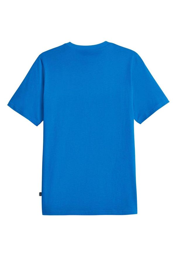 Koszulka fitness męska Puma Graphics Cat Tee. Kolor: niebieski. Sport: fitness