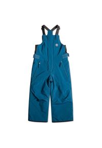 Spodnie narciarskie dla dzieci Quiksilver Boogie. Kolor: niebieski. Materiał: poliester. Sezon: zima. Sport: narciarstwo #1