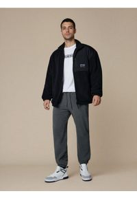 Sinsay - Spodnie jogger - szary. Kolor: szary