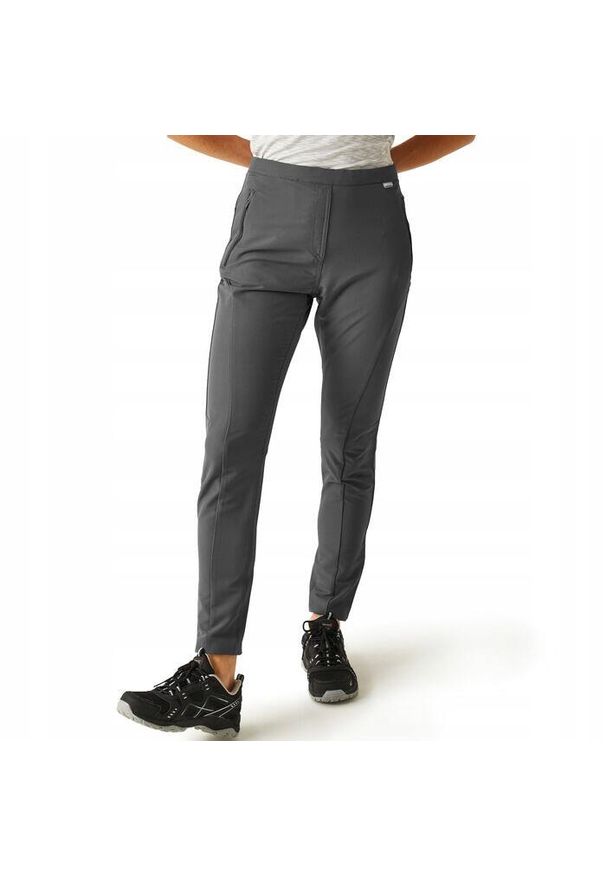 Spodnie trekkingowe dla kobiet Regatta Pentre stretch. Kolor: szary. Sezon: lato. Sport: turystyka piesza