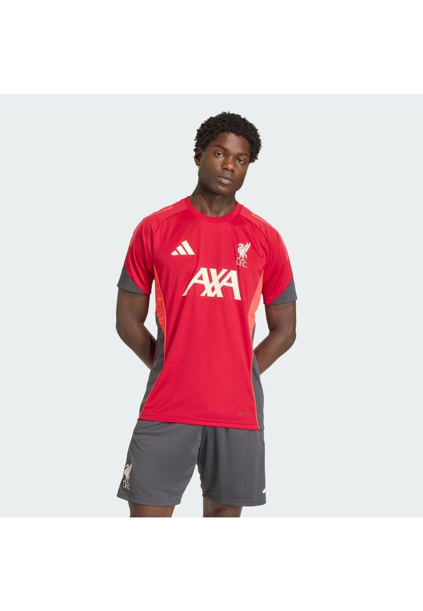 Adidas - Koszulka Liverpool FC Tiro 25 Competition Training. Kolor: czerwony. Sport: piłka nożna