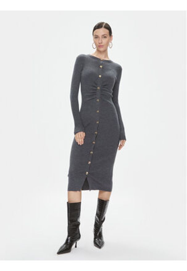 Pinko Sukienka dzianinowa Ermellino 101926 A15S Szary Slim Fit. Kolor: szary. Materiał: wełna