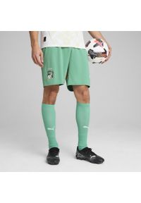 Puma - Męskie szorty Wybrzeże Kości Słoniowej 2025 PUMA Jade Frost White Green. Kolor: biały. Sport: piłka nożna