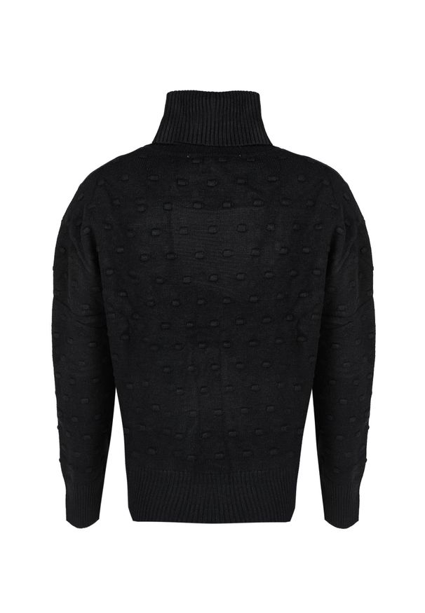 Silvian Heach Sweter | PGA22130LU | Kobieta | Czarny. Typ kołnierza: golf. Kolor: czarny. Materiał: wiskoza, poliester, nylon. Wzór: aplikacja