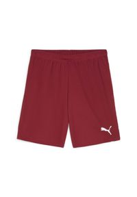 Szorty Puma TeamGloal. Kolor: czerwony, wielokolorowy, biały. Materiał: materiał. Sport: piłka nożna #1