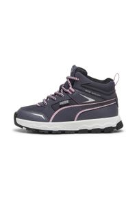 Puma Buty Evolve Trail Ps 39764503. Kolor: szary