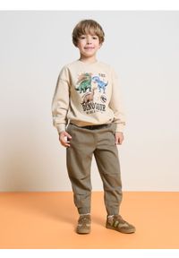 Sinsay - Jeansy z przeszyciami na kolanach - khaki. Kolor: brązowy
