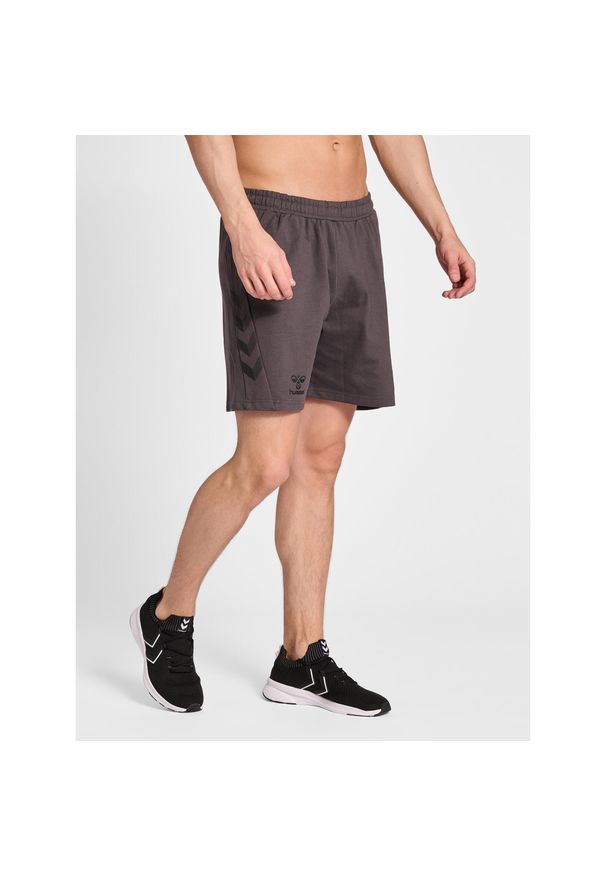 Bawełniane Szorty Hummel Off-Grid. Kolor: szary. Materiał: bawełna