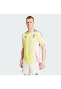 Adidas - Koszulka Juventus 24/25 Away Authentic. Kolor: żółty. Materiał: materiał #1