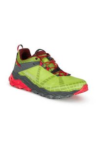 Buty trekkingowe męskie Aku Flyrock Gtx. Kolor: wielokolorowy. Materiał: materiał, syntetyk. Szerokość cholewki: normalna