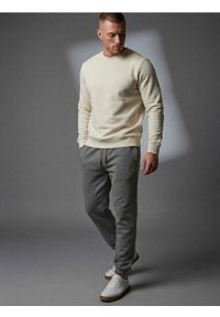 Sinsay - Spodnie dresowe jogger - szary. Kolor: szary. Materiał: dresówka