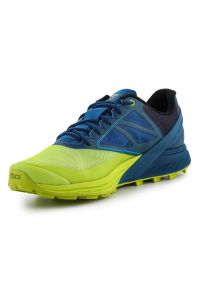Buty do biegania Dynafit Alpine M 64064-8836 zielone. Okazja: na co dzień. Kolor: zielony. Materiał: guma. Sport: fitness, bieganie #3