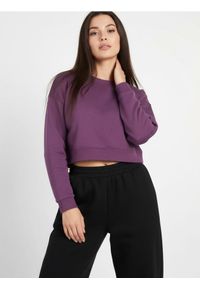 Sinsay - Gładka bluza crewneck - fioletowy. Kolor: fioletowy. Wzór: gładki #1