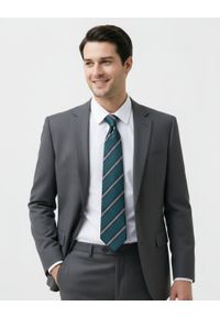 Klasyczny Krawat Klubowy - Alties - Zieleń w Prążek. Materiał: tkanina. Wzór: prążki. Styl: klasyczny #3