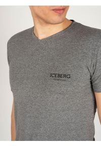 Iceberg T-shirt | ICE1UTS02 | Mężczyzna | Szary. Typ kołnierza: dekolt w kształcie V. Kolor: szary. Materiał: elastan, bawełna. Wzór: nadruk #3