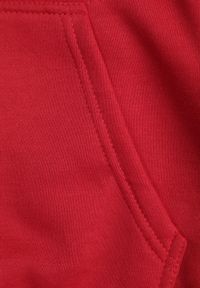 Born2be - Czerwona Bluza z Kapturem Kasseia. Typ kołnierza: kaptur. Kolor: czerwony. Materiał: dzianina, polar. Styl: klasyczny #4