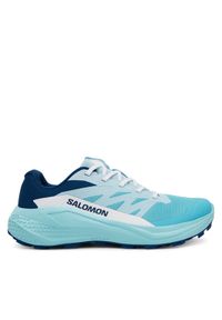 salomon - Salomon Buty do biegania Alphaglide L47801600 Niebieski. Kolor: niebieski