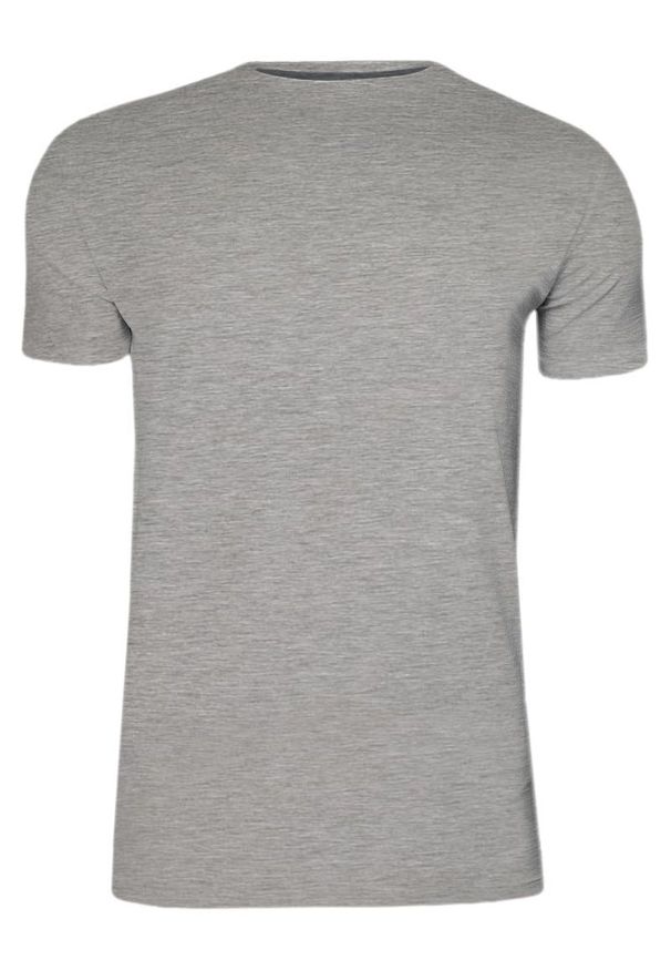 T-Shirt Szary Bawełniany Męski Bez Nadruku -Brave Soul- Koszulka, Krótki Rękaw, Basic. Okazja: na co dzień. Kolor: szary. Materiał: wiskoza, bawełna. Długość rękawa: krótki rękaw. Długość: krótkie. Sezon: wiosna, lato. Styl: casual