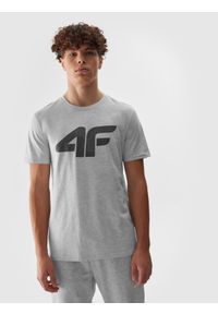 4f - 4F T-shirt regular z nadrukiem męski - szary 3XL. Okazja: na co dzień. Kolor: szary. Materiał: dzianina, bawełna, wiskoza, jersey, materiał. Długość rękawa: krótki rękaw. Długość: krótkie. Wzór: nadruk. Styl: sportowy, casual