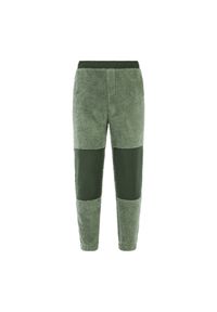 Spodnie do biegania Protest Risk. Kolor: zielony. Sport: bieganie #1
