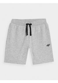 4f - 4F Spodenki dresowe chłopięce 122 (6-7 lat). Kolor: szary. Materiał: dresówka. Sezon: lato #1