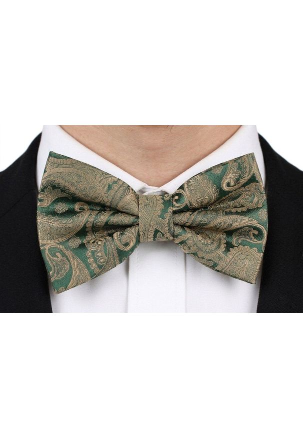 Mucha Męska w Zestawie z Poszetką - Alties - Zieleń, Beżowe Paisley. Kolor: beżowy. Wzór: paisley. Styl: elegancki, sportowy