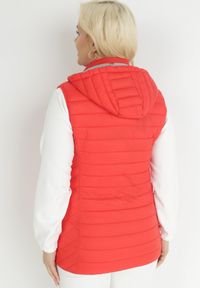 Born2be - Czerwona Kamizelka z Kapturem Pikowana Cotra. Okazja: na co dzień. Typ kołnierza: kaptur. Kolekcja: plus size. Kolor: czerwony. Długość: długie. Materiał: materiał. Długość rękawa: długi rękaw. Sezon: jesień, wiosna. Styl: casual #7